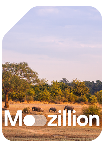 1765550681_Mozillion Travel SIM Cover - Malawi.png